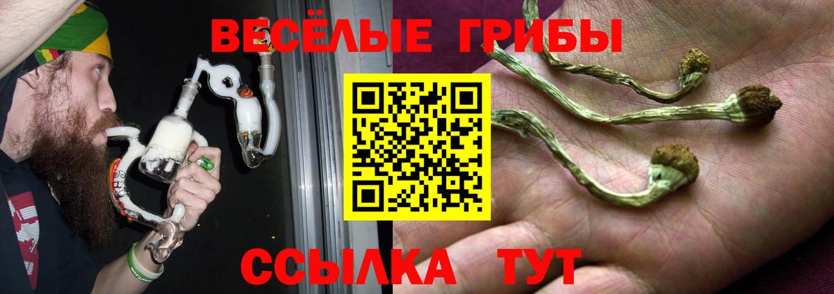 Псилоцибиновые грибы Magic Shrooms Горно-Алтайск